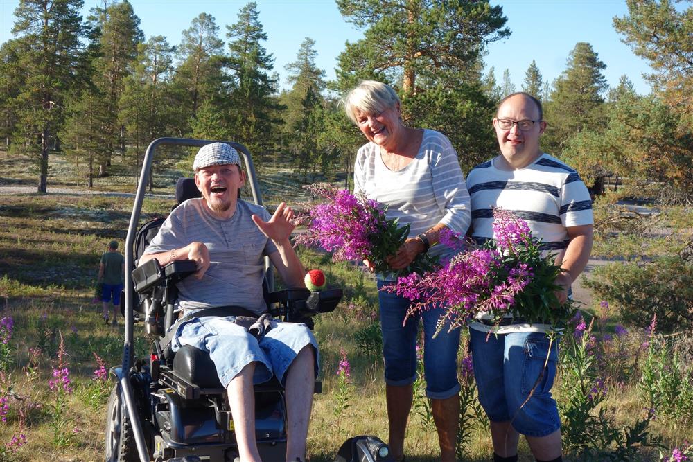 Klikk for stort bilde