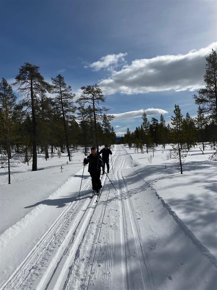 Klikk for stort bilde