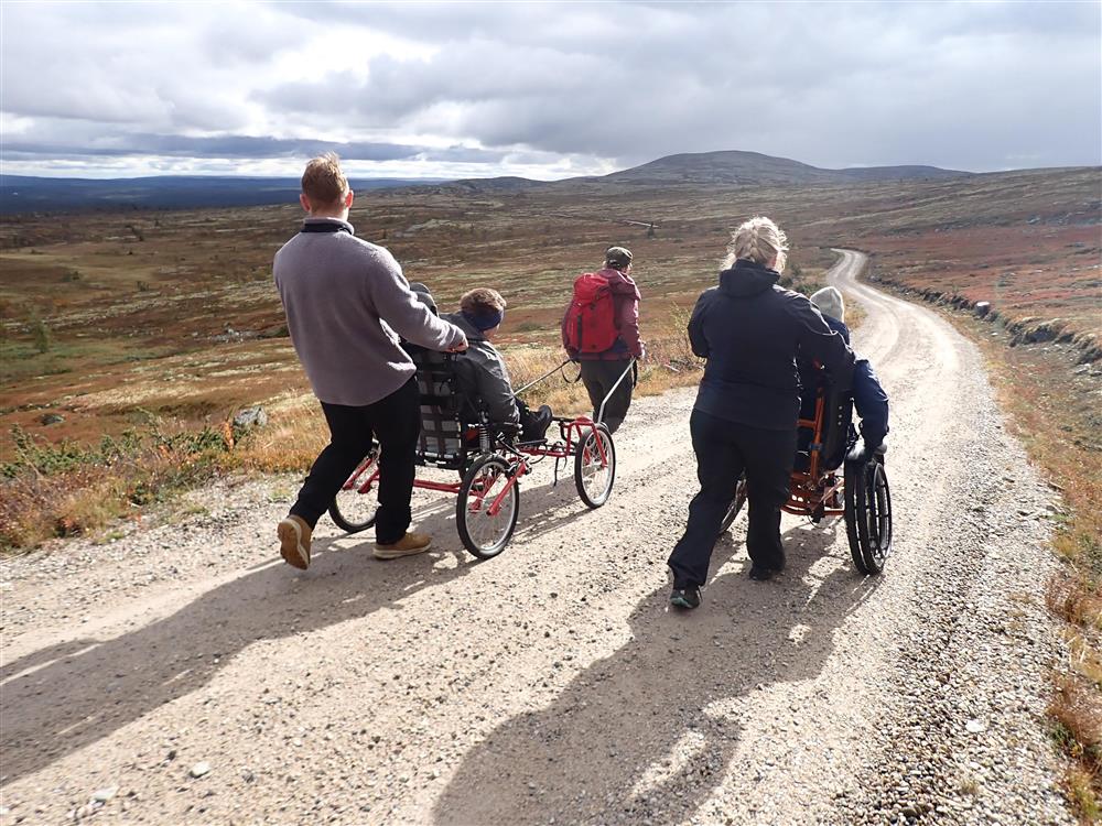 Klikk for stort bilde