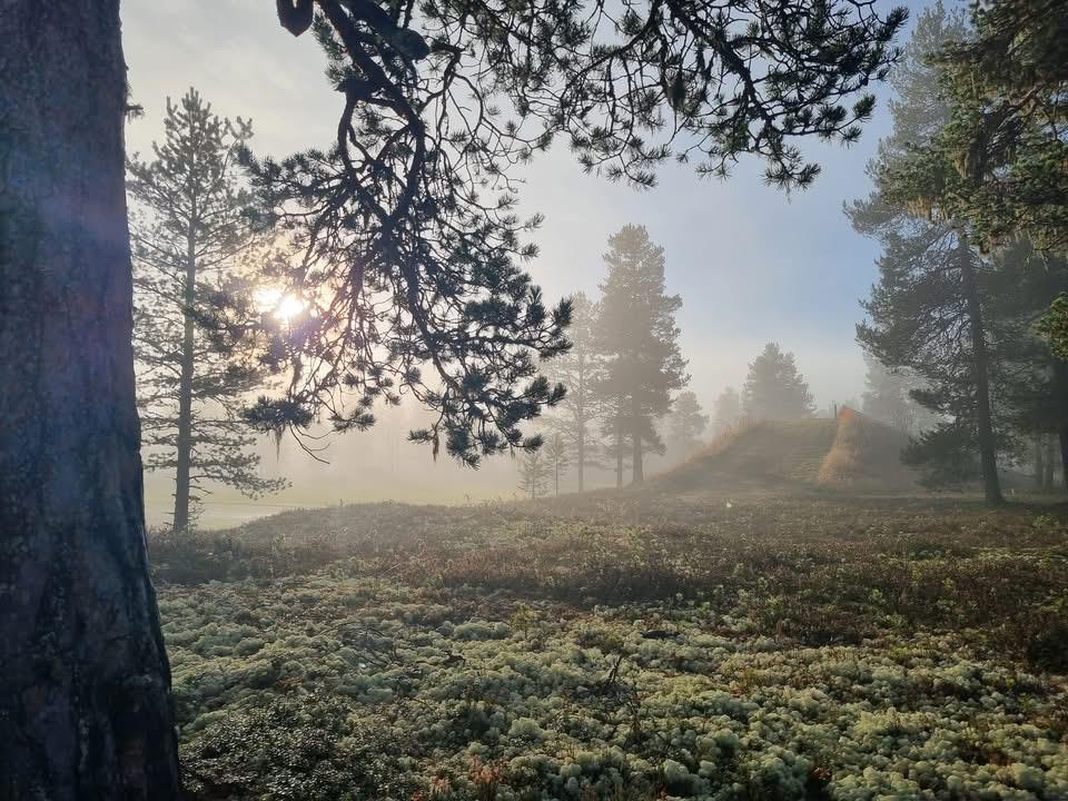 Klikk for stort bilde