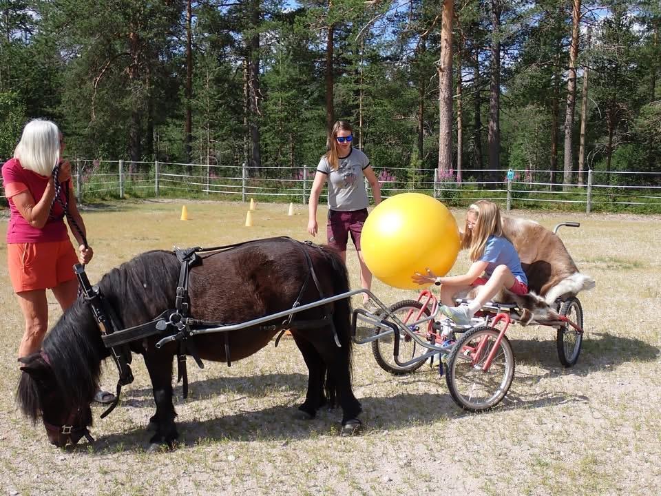 Klikk for stort bilde