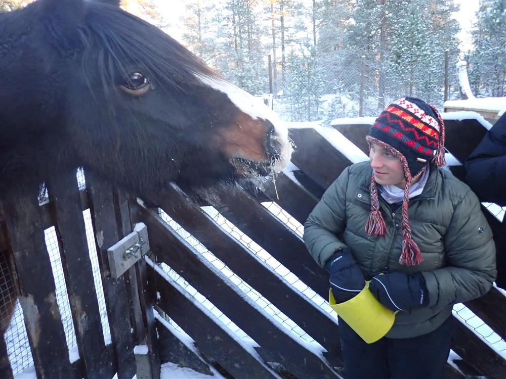 Klikk for stort bilde