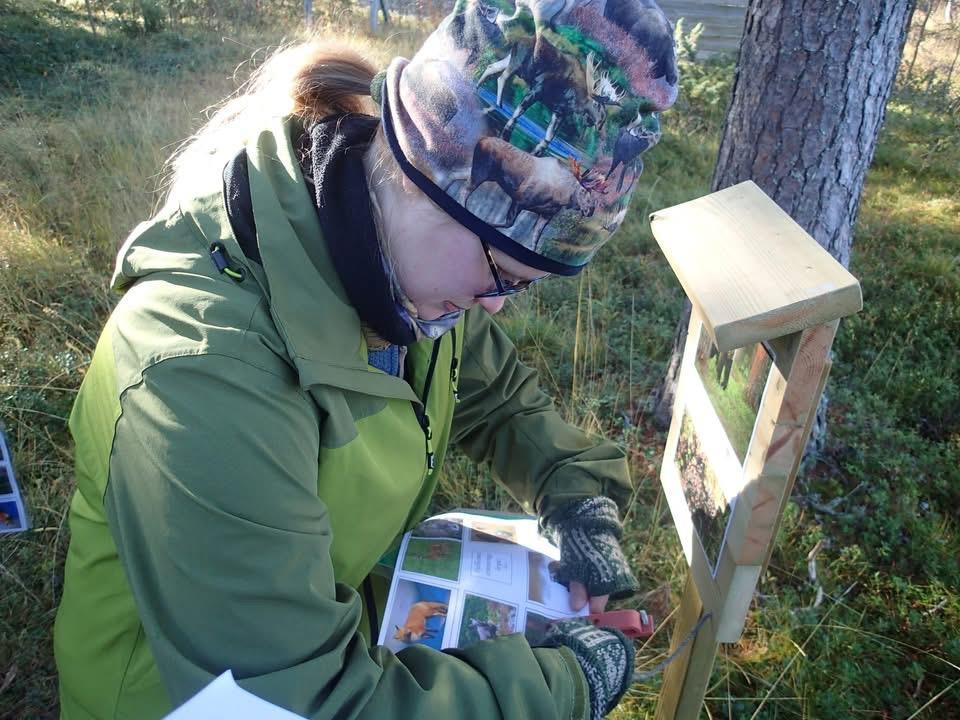 Klikk for stort bilde