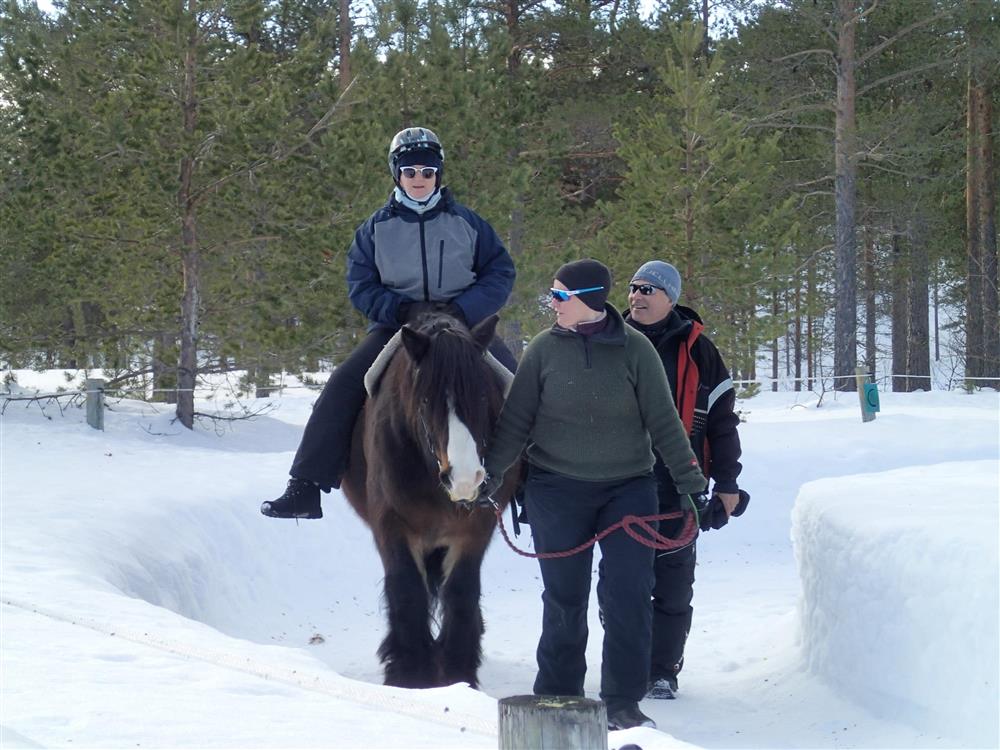 Klikk for stort bilde