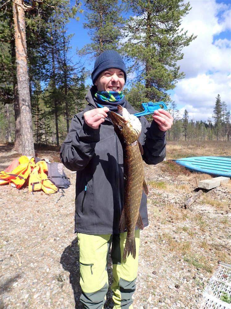 Klikk for stort bilde