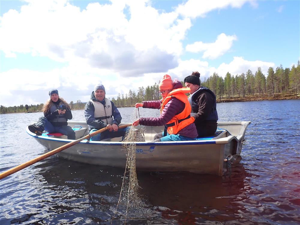 Klikk for stort bilde