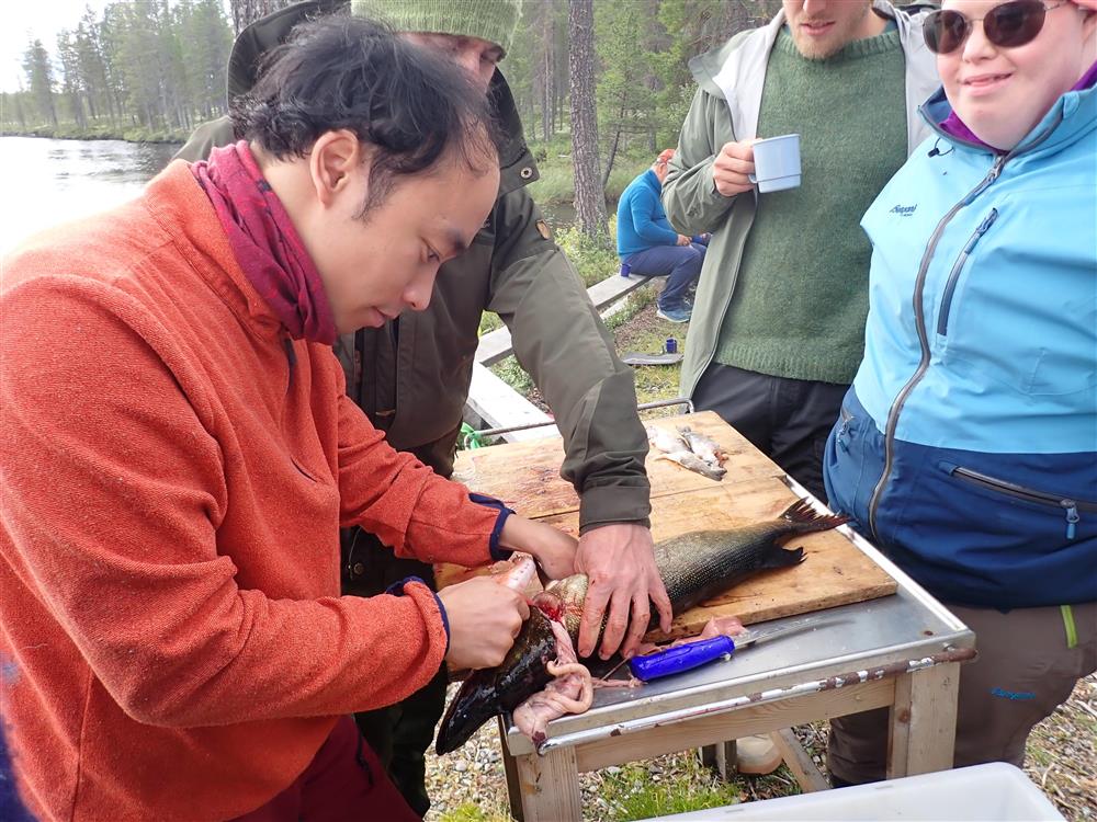 Klikk for stort bilde