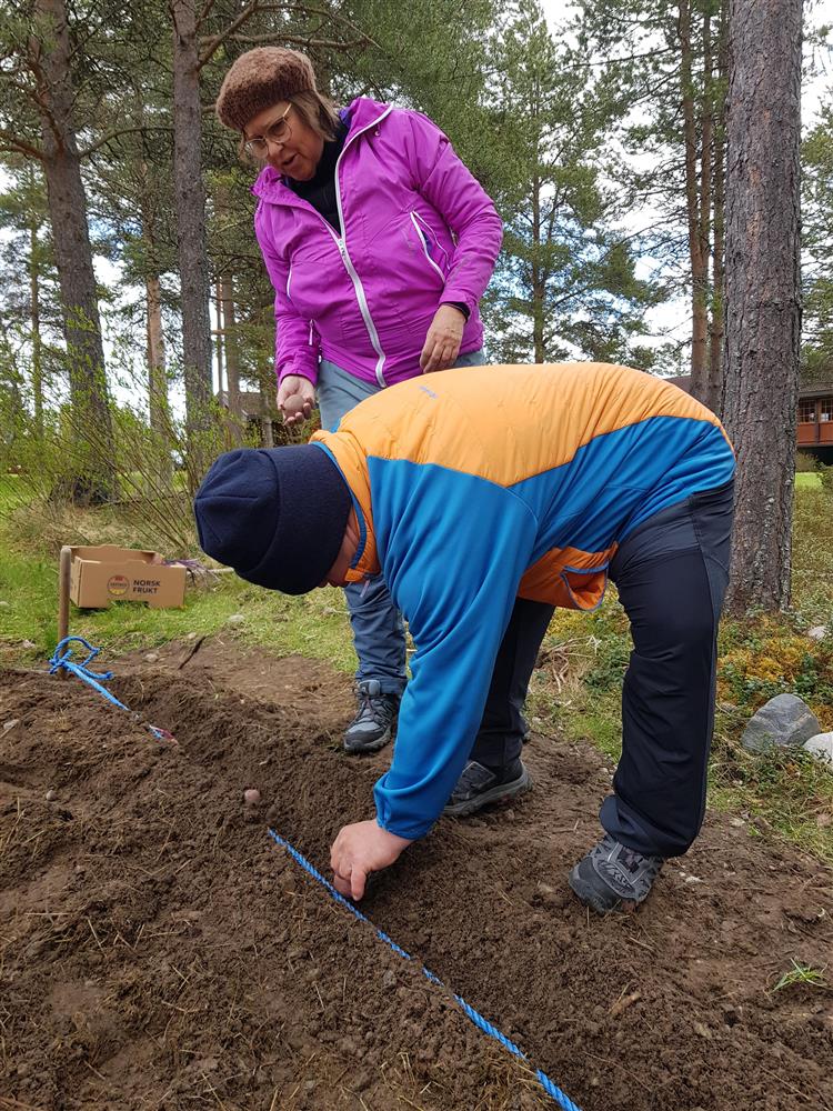 Klikk for stort bilde