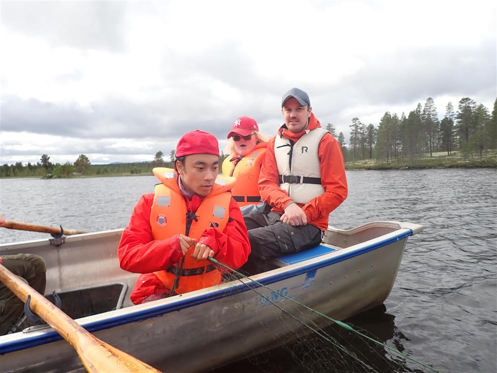 Klikk for stort bilde