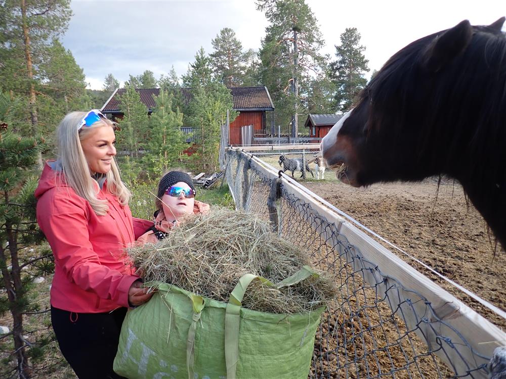 Klikk for stort bilde