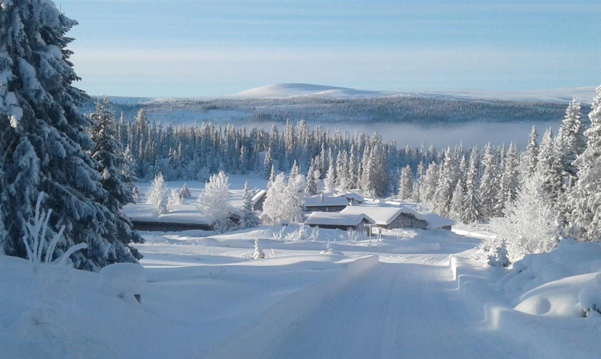 Vinterbilde fra bebyggelse på Lisetra - Klikk for stort bilde