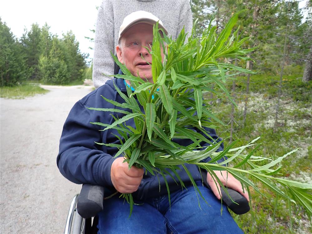 Klikk for stort bilde