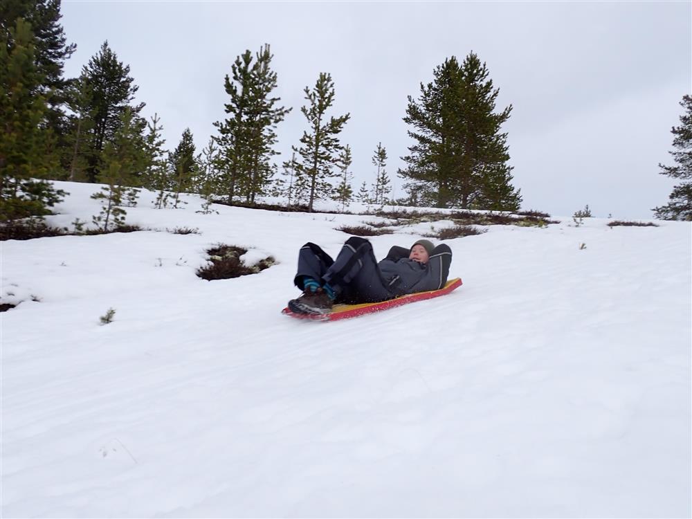 Klikk for stort bilde