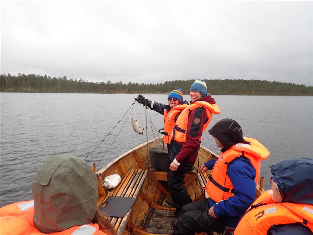 Klikk for stort bilde