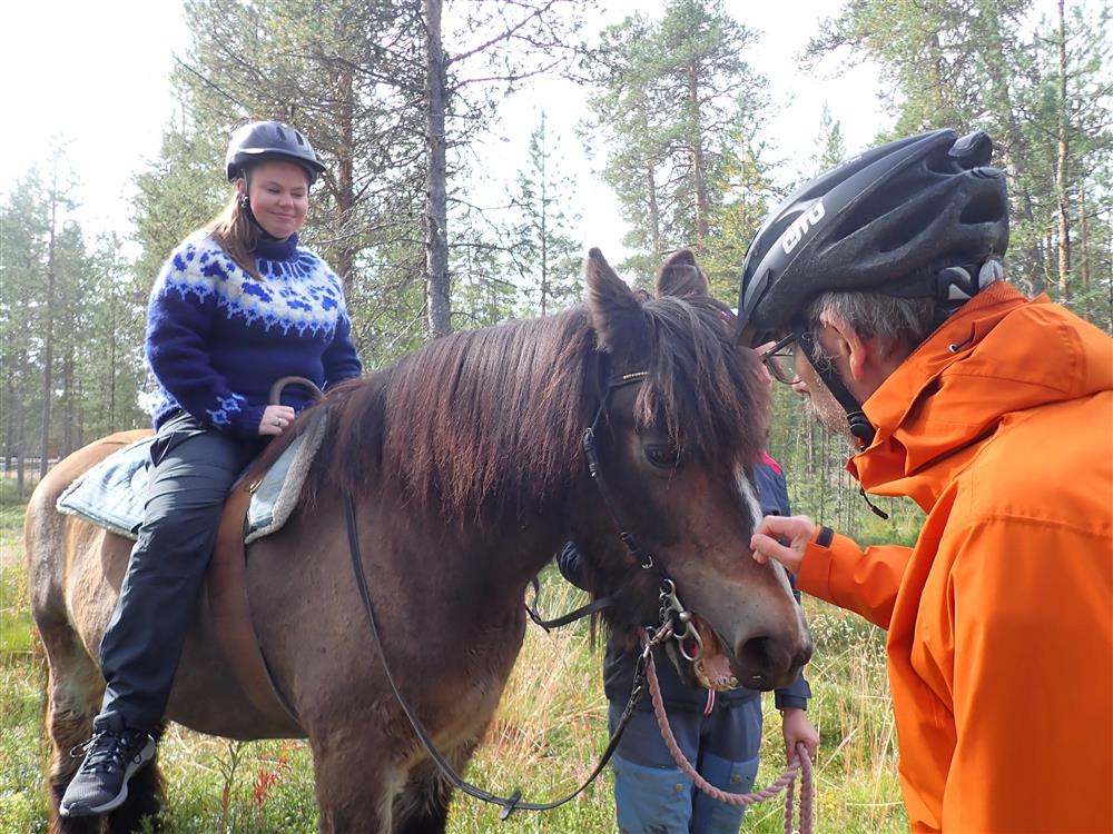 Klikk for stort bilde