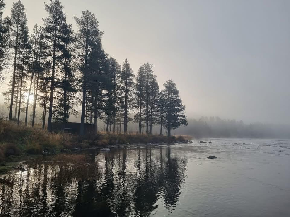 Klikk for stort bilde