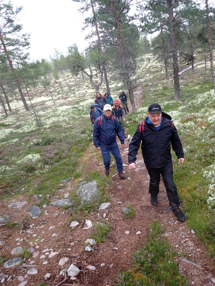 Klikk for stort bilde