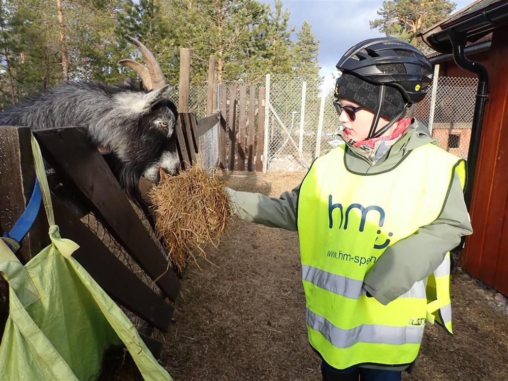 Klikk for stort bilde