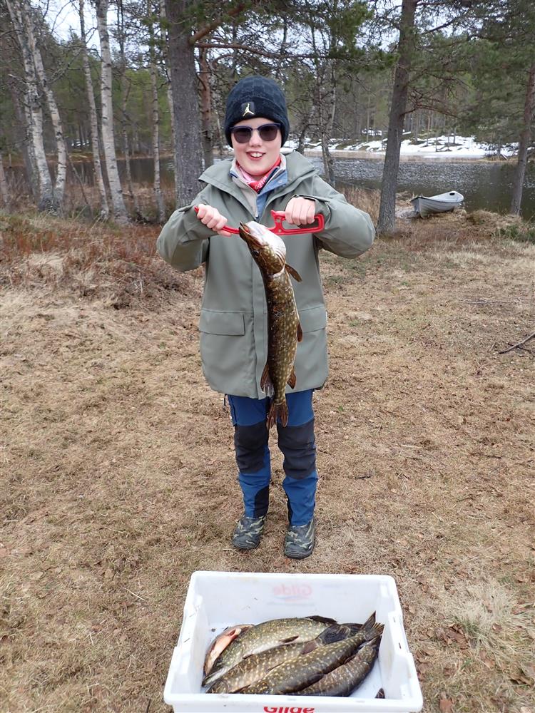 Klikk for stort bilde