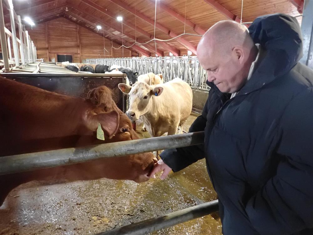 Klikk for stort bilde