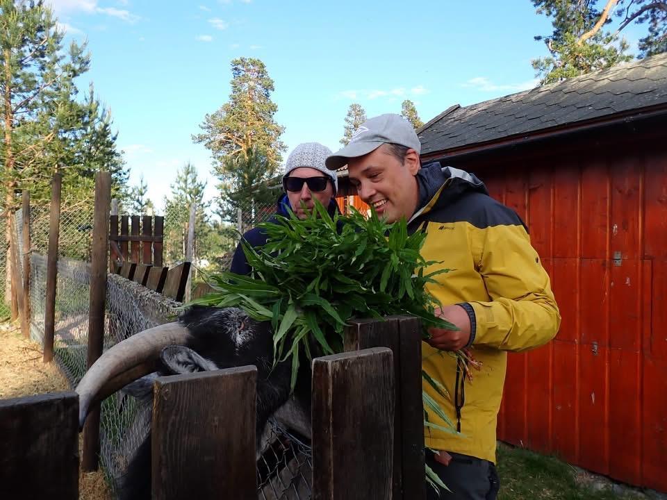 Klikk for stort bilde