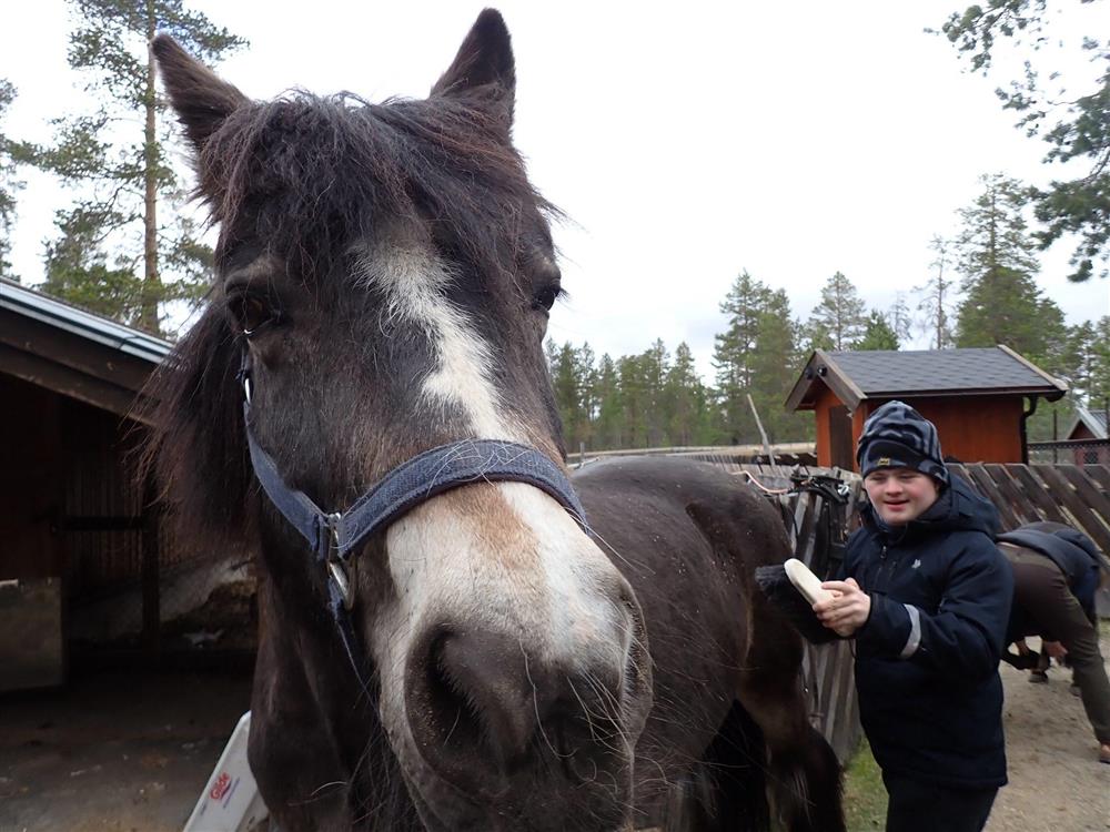 Klikk for stort bilde