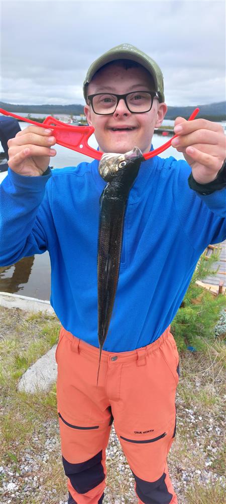 Klikk for stort bilde