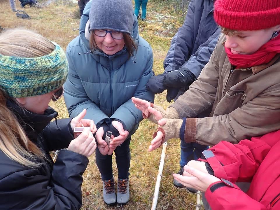 Klikk for stort bilde