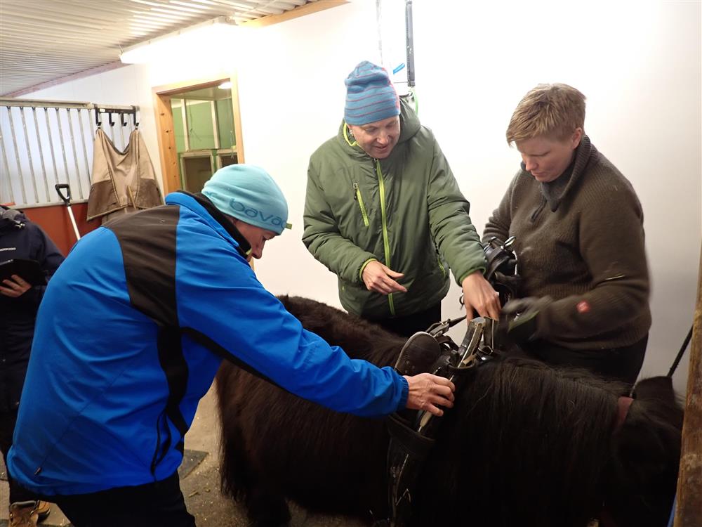 Klikk for stort bilde