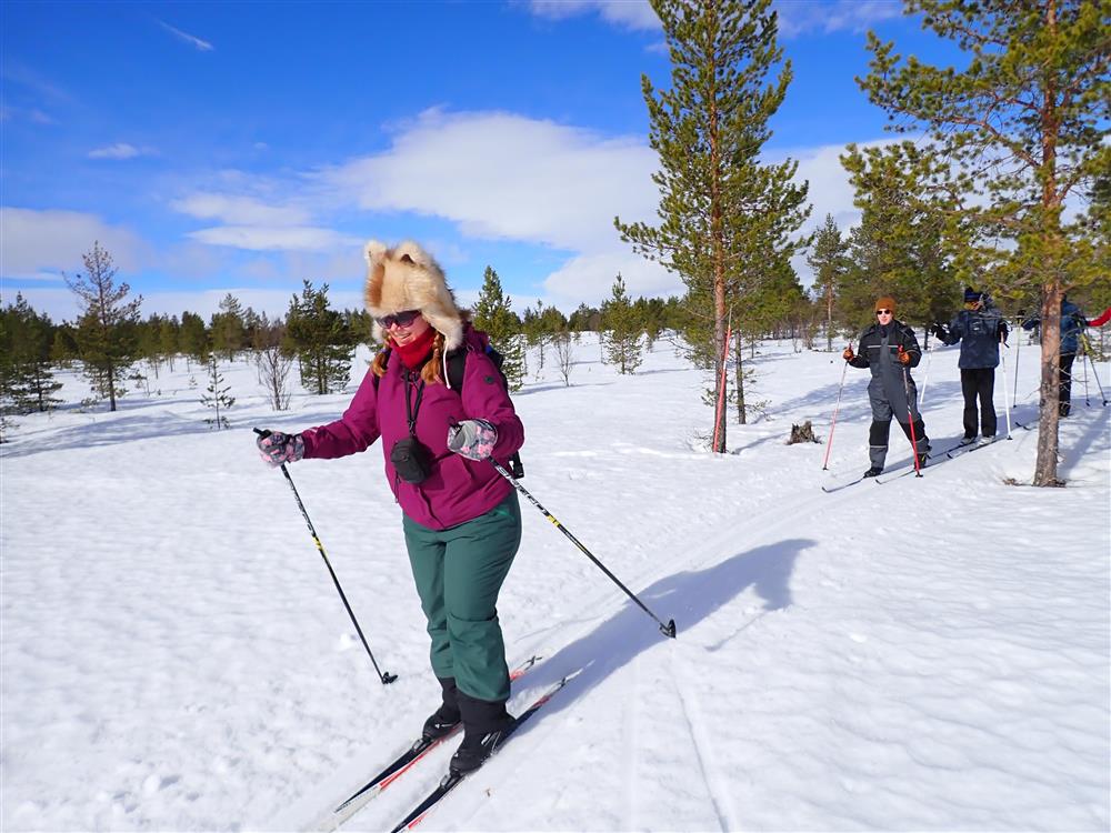 Klikk for stort bilde