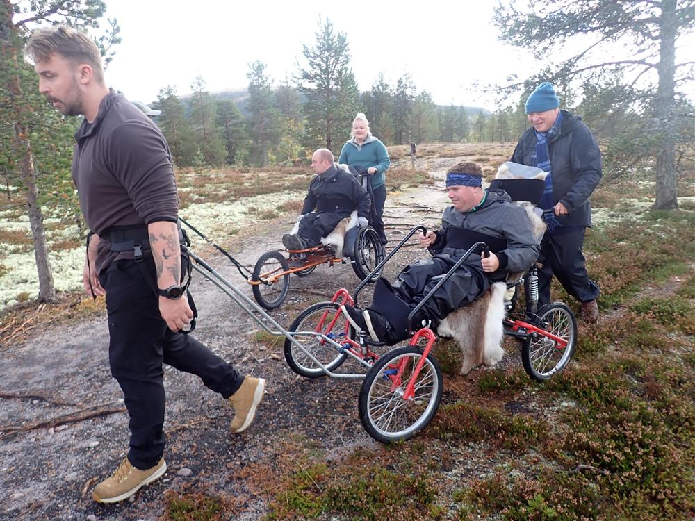 Klikk for stort bilde