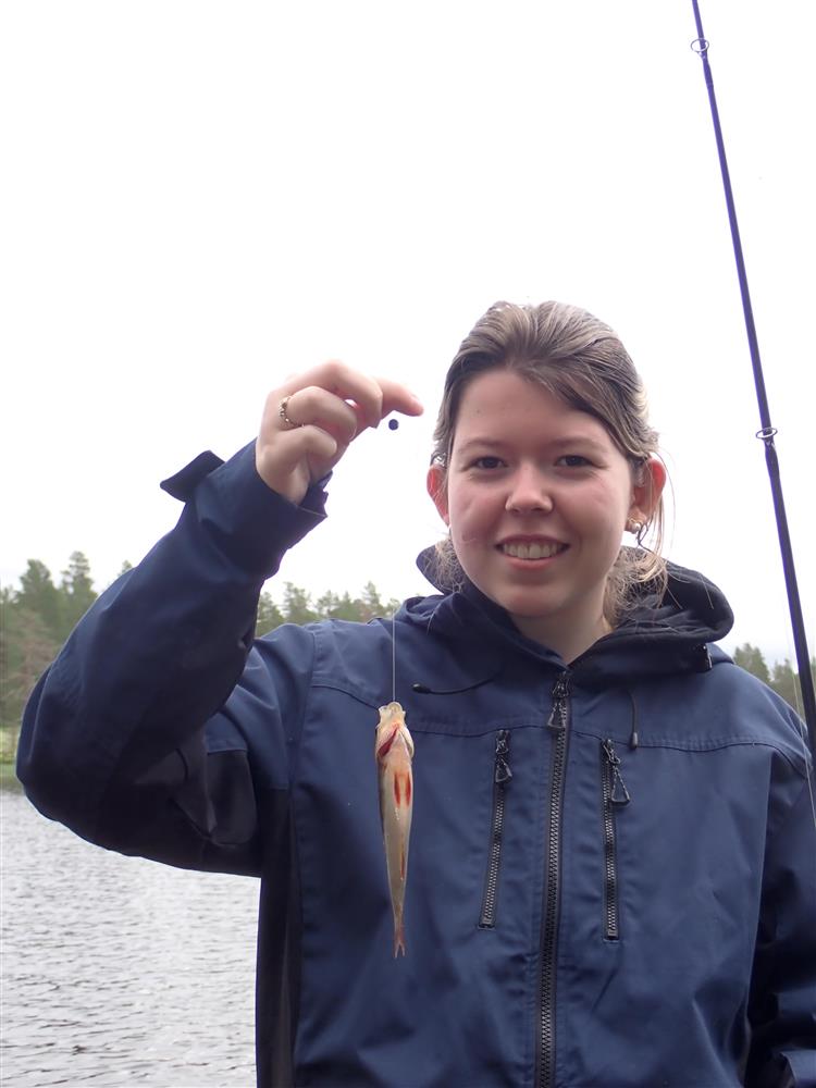 Klikk for stort bilde
