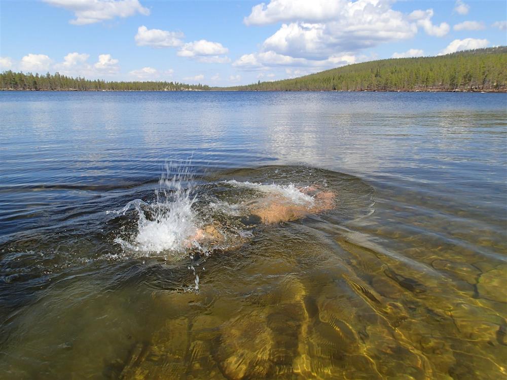 Klikk for stort bilde