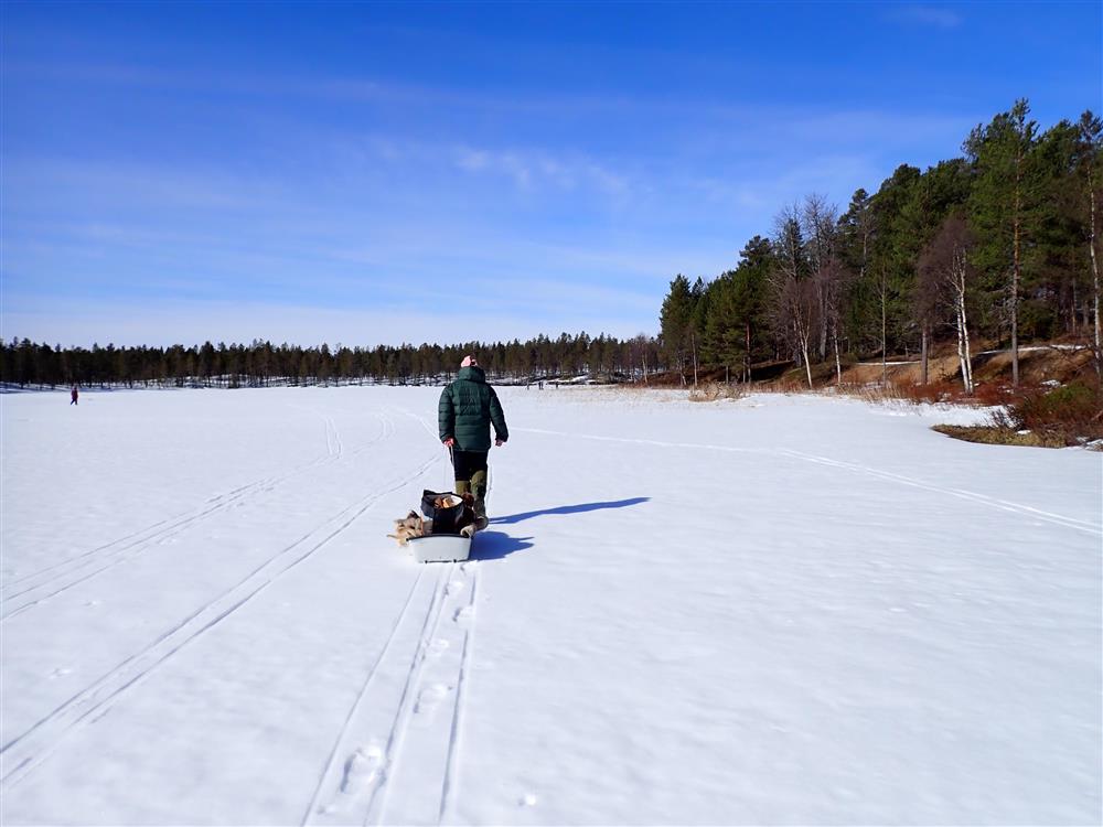 Klikk for stort bilde