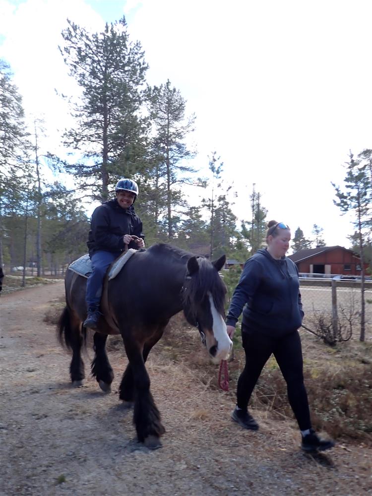 Klikk for stort bilde