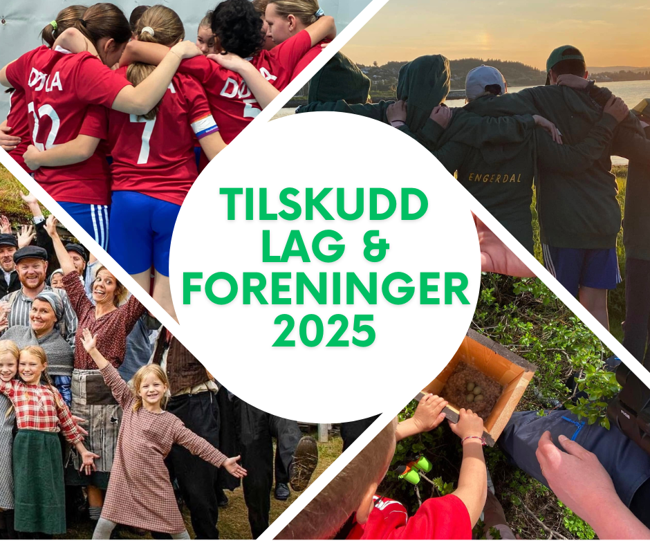 N Kan Du S ke Om Tilskudd Til Lag Foreninger Og Arrangement n-kan-du-s-ke-om-tilskudd-til-lag-foreninger-og-arrangement