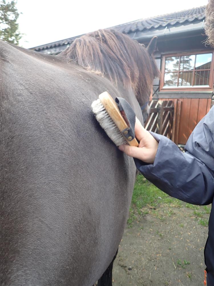 Klikk for stort bilde