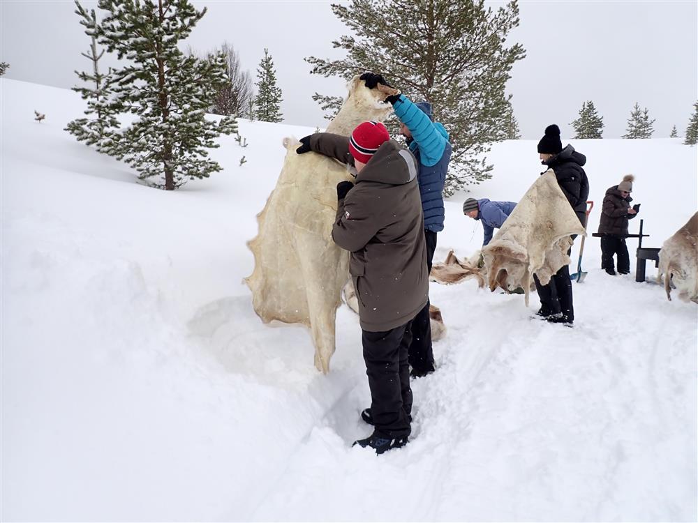 Klikk for stort bilde