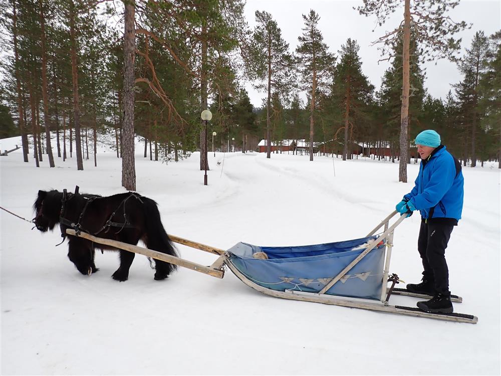 Klikk for stort bilde