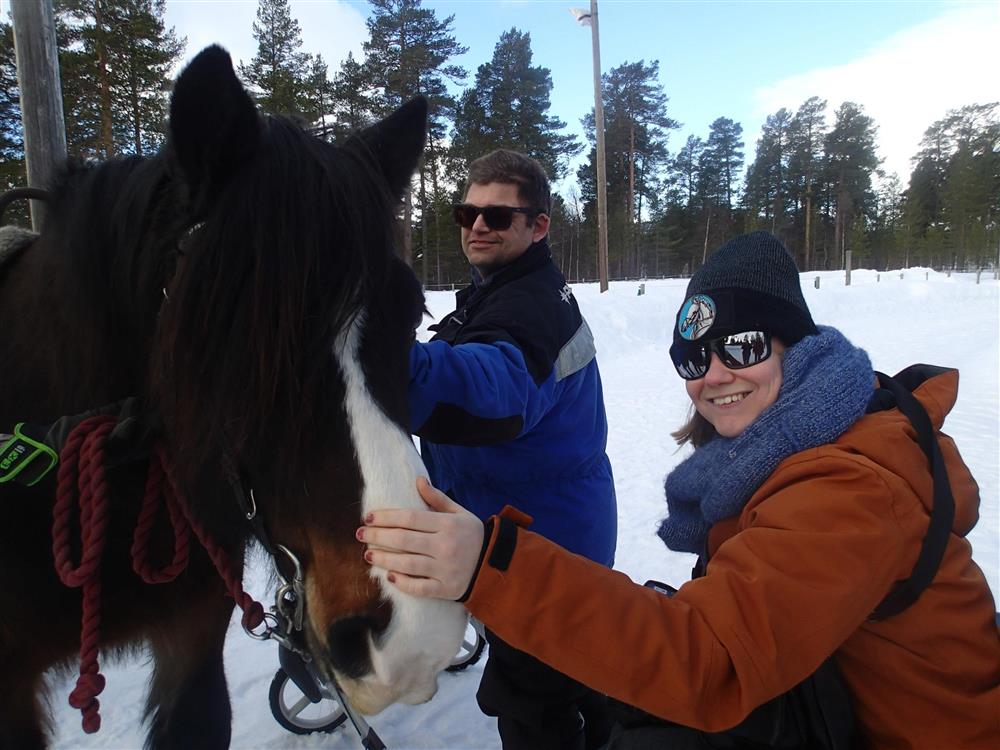 Klikk for stort bilde