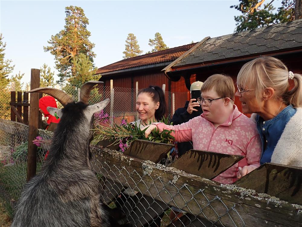 Klikk for stort bilde