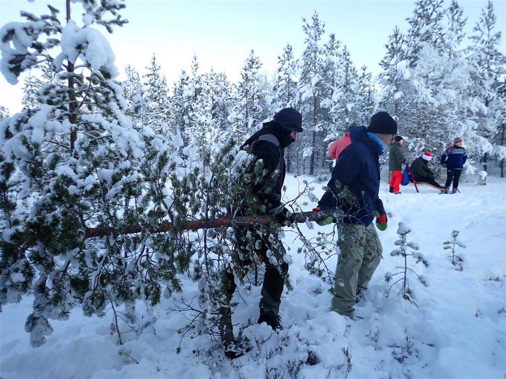 Klikk for stort bilde