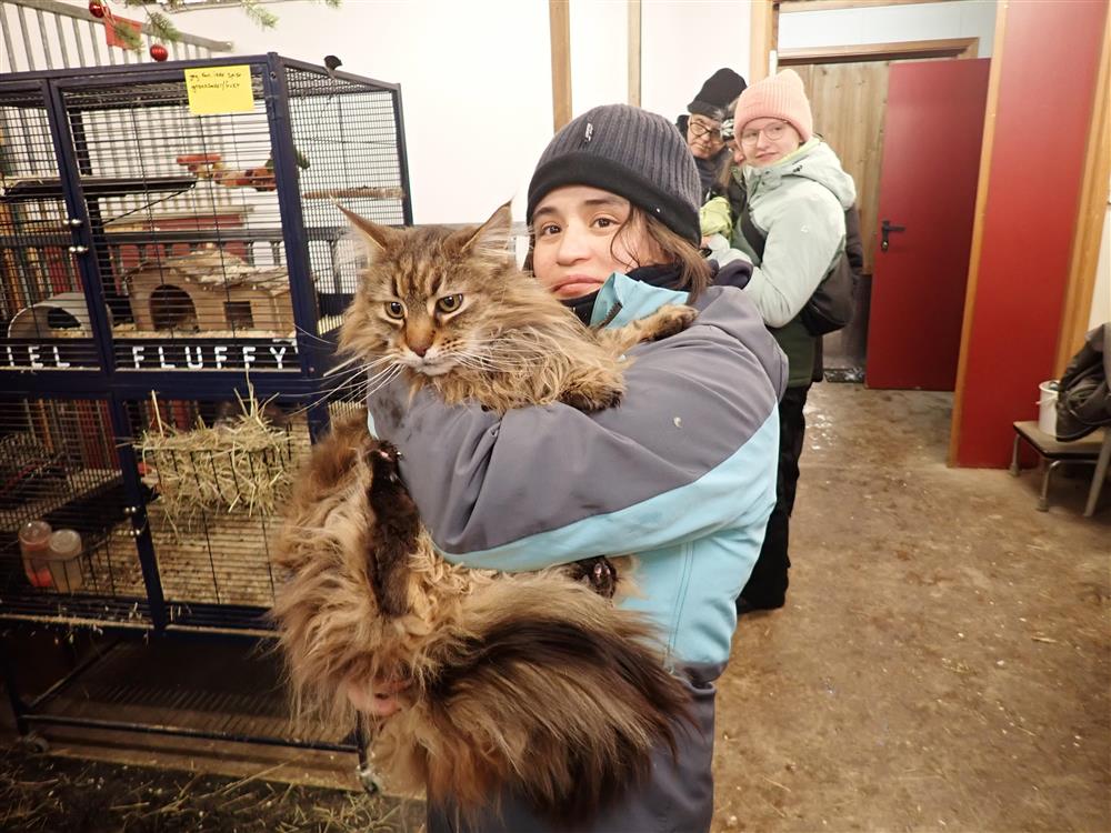 Klikk for stort bilde