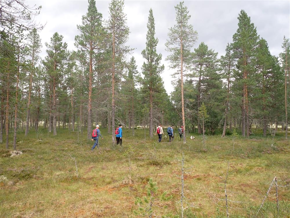 Klikk for stort bilde