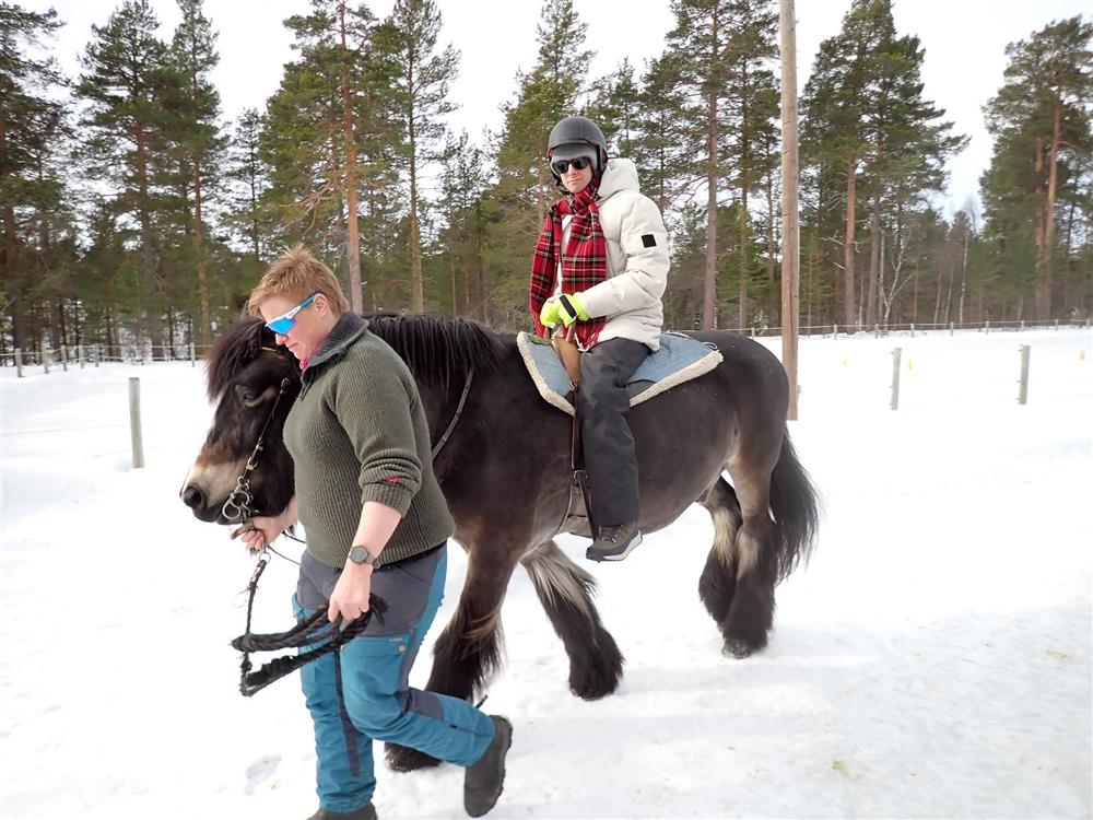 Klikk for stort bilde