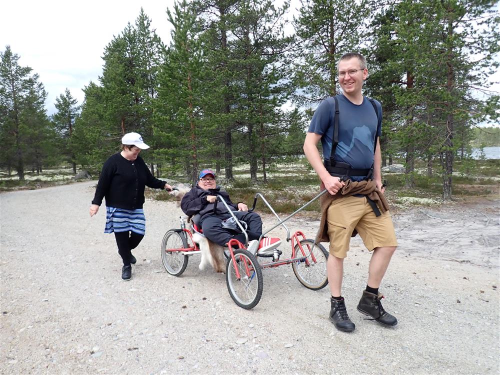 Klikk for stort bilde