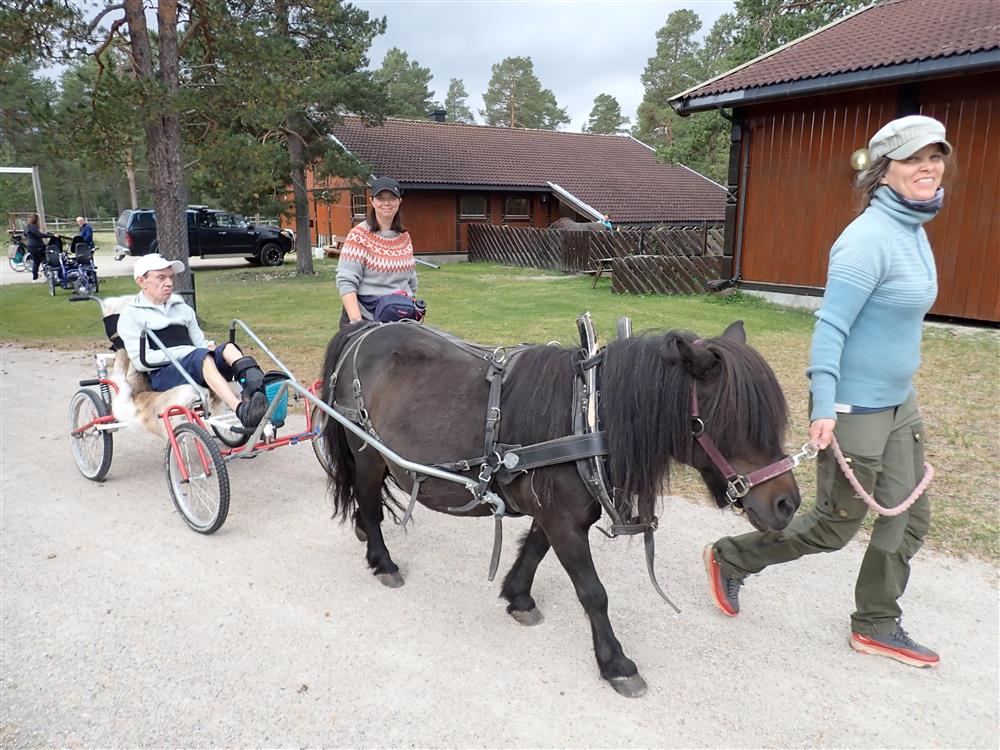 Klikk for stort bilde