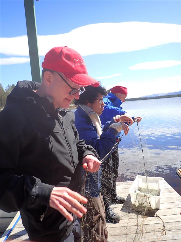 Klikk for stort bilde