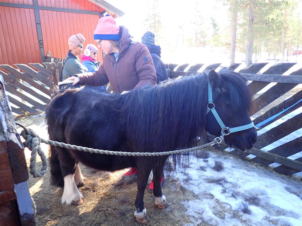 Klikk for stort bilde