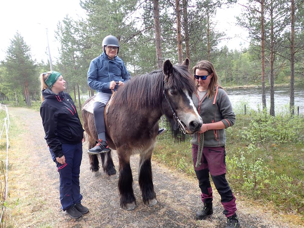 Klikk for stort bilde